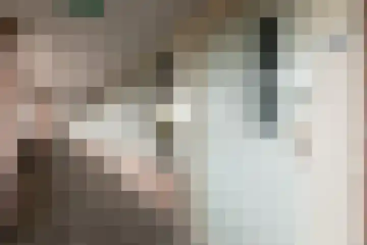 Hoofdstraat 155 T Voorthuizen thumbnail 17
