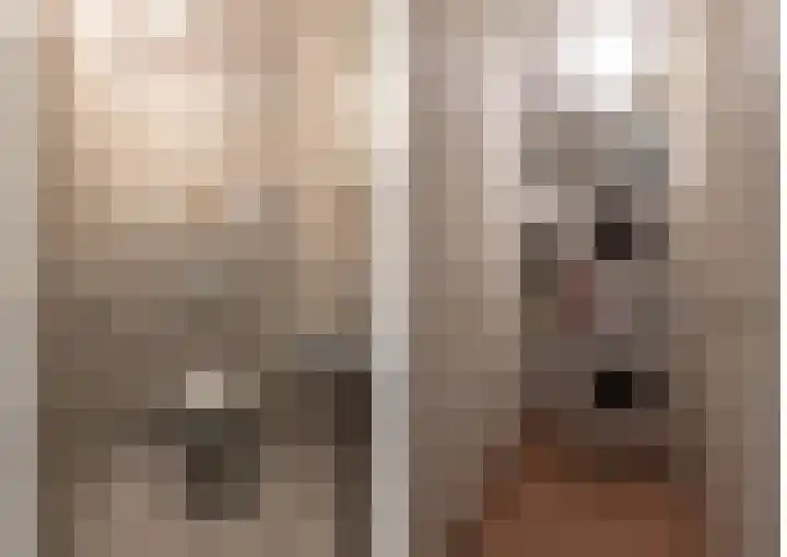 Hoofdstraat 155 T Voorthuizen thumbnail 21