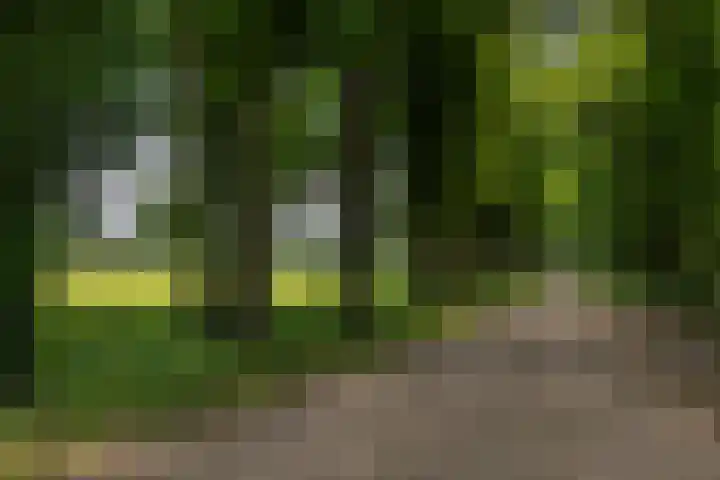 Hoofdstraat 156 Herveld thumbnail 116