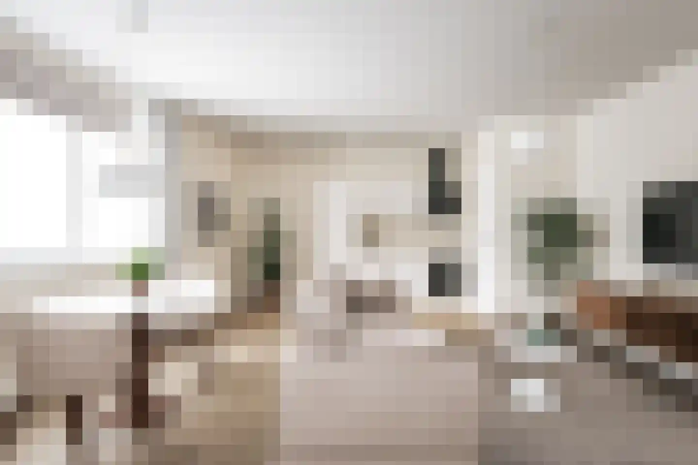 Hoofdstraat 158 h Driebergen-Rijsenburg thumbnail 12