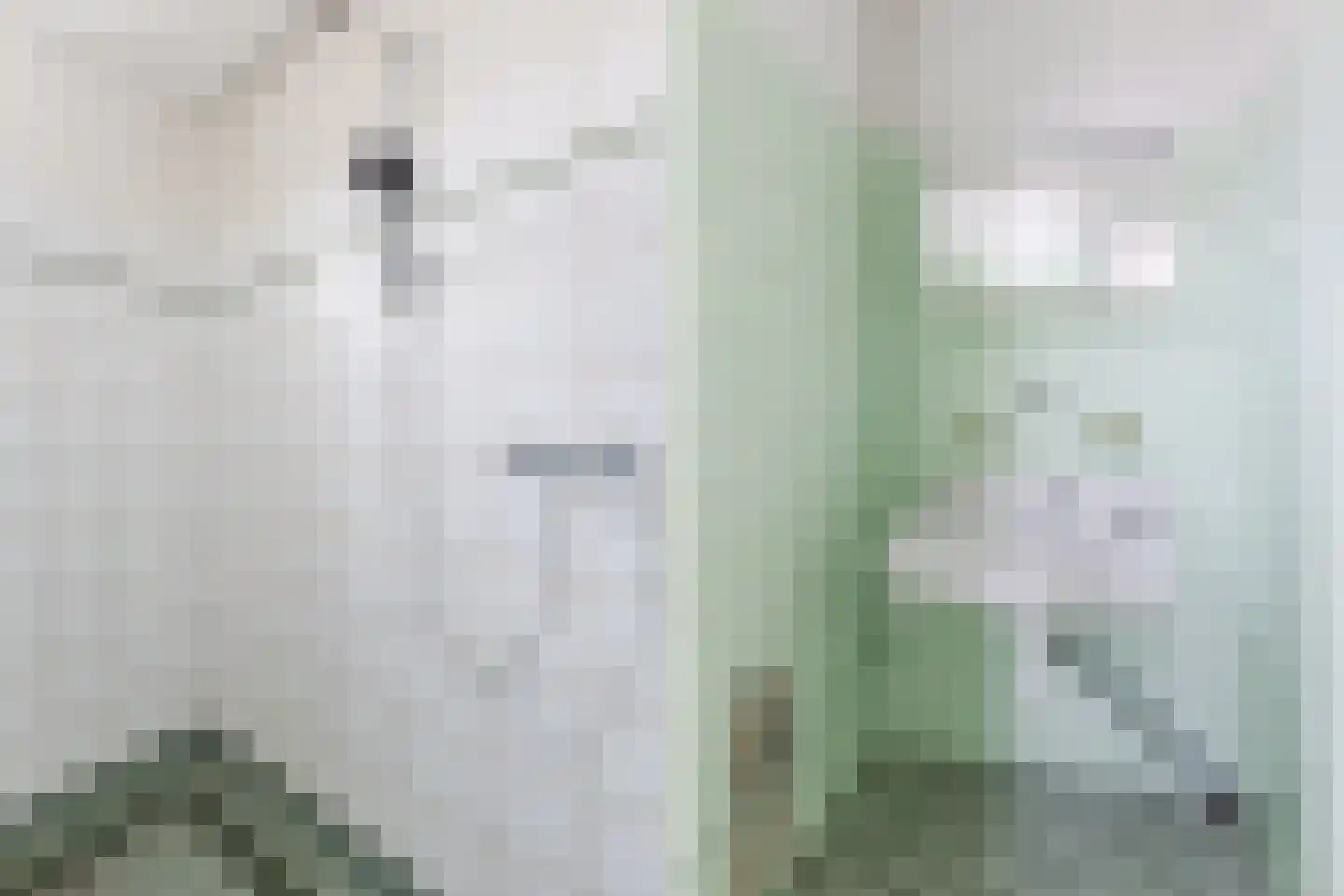 Hoofdstraat 158 Hillegom thumbnail 13