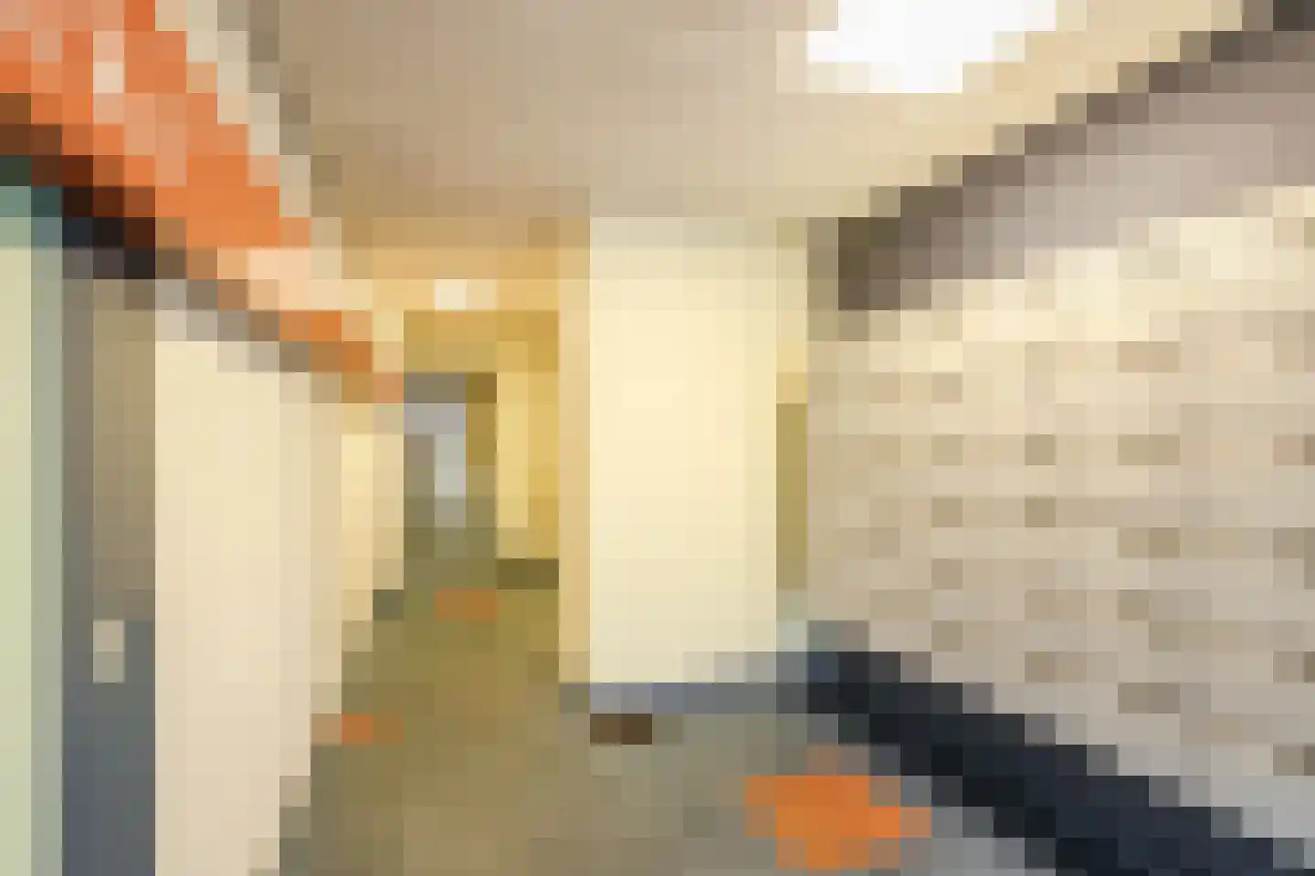 Hoofdstraat 159 72 Hoogeveen thumbnail 32
