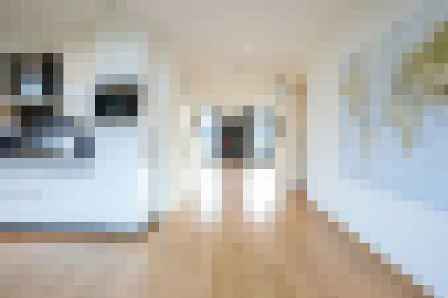 Hoofdstraat 16 A Mechelen thumbnail 13