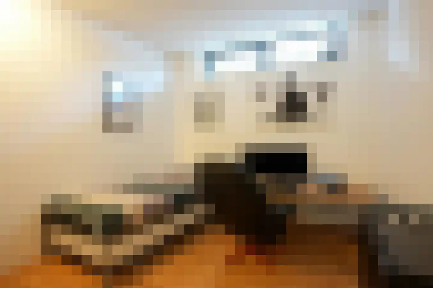 Hoofdstraat 16 A Mechelen thumbnail 21