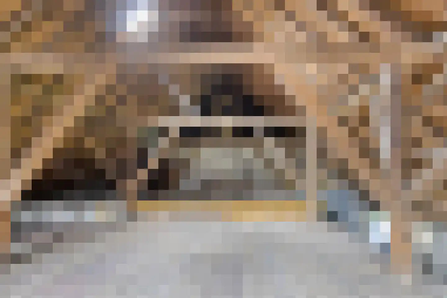 Hoofdstraat 16 Ekehaar thumbnail 52