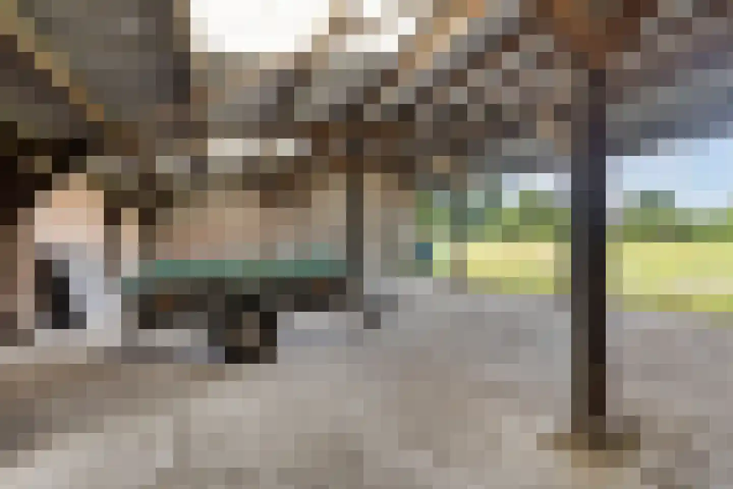 Hoofdstraat 16 Ekehaar thumbnail 57