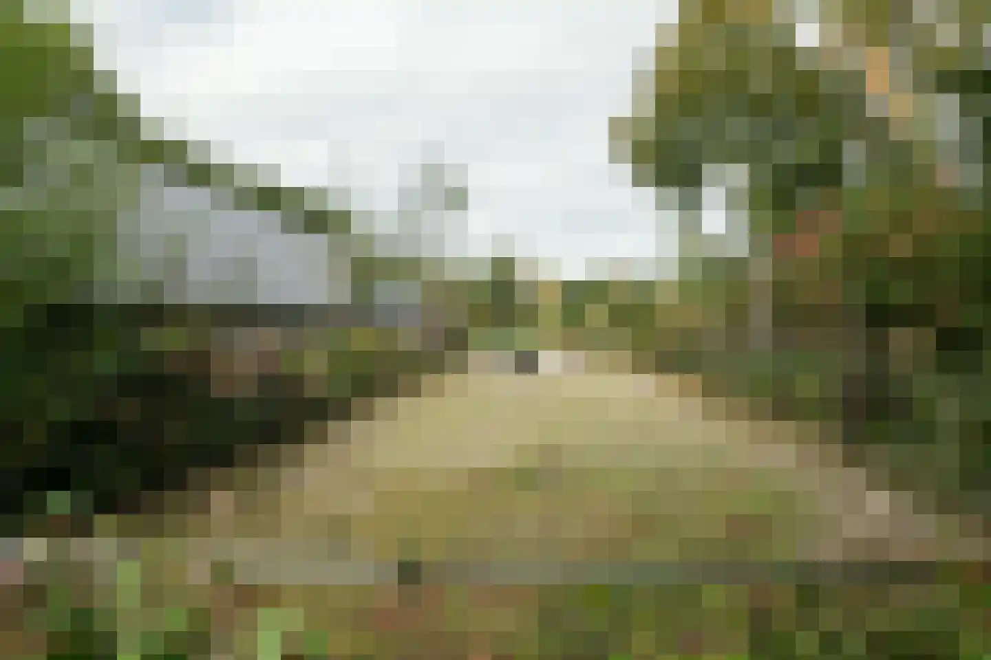 Hoofdstraat 16 Elp thumbnail 38