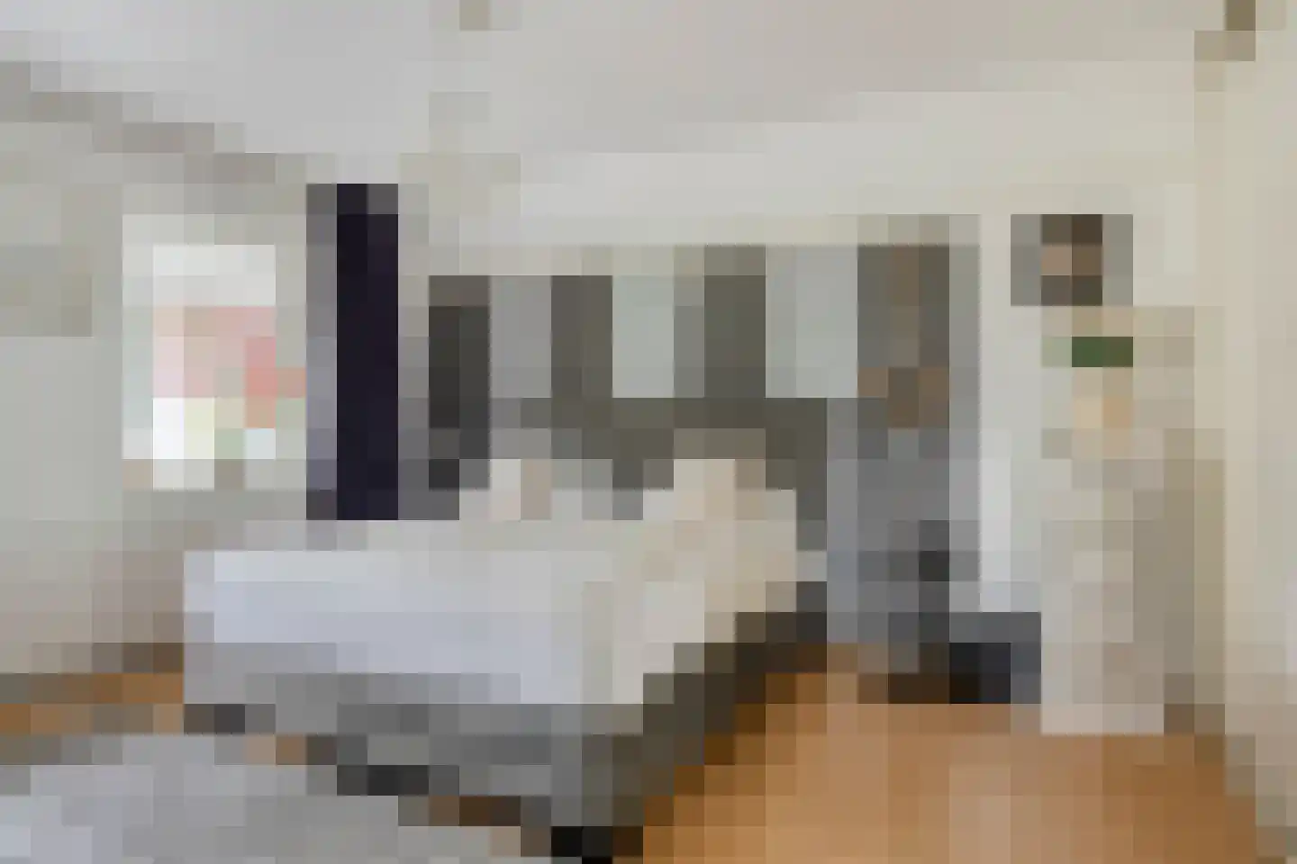 Hoofdstraat 16 Epe thumbnail 13