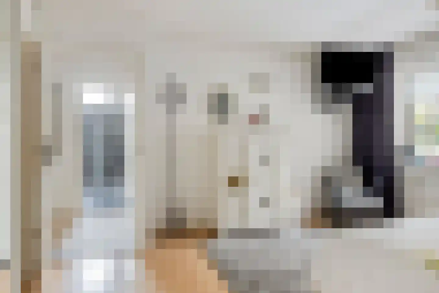 Hoofdstraat 16 Epe thumbnail 15