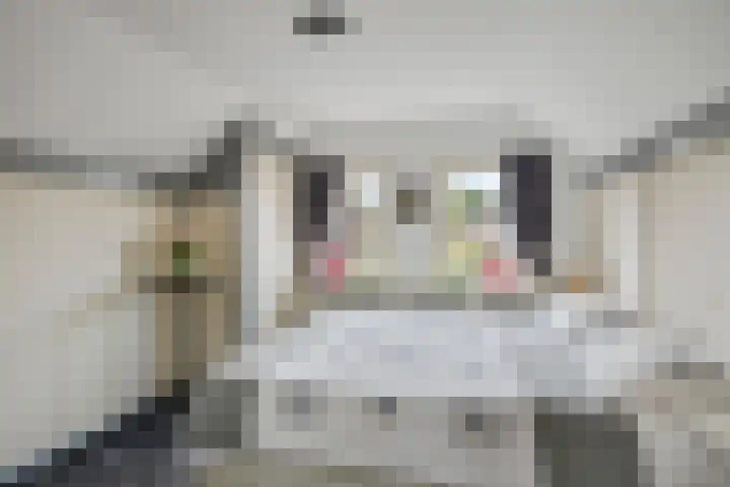 Hoofdstraat 16 Epe thumbnail 21