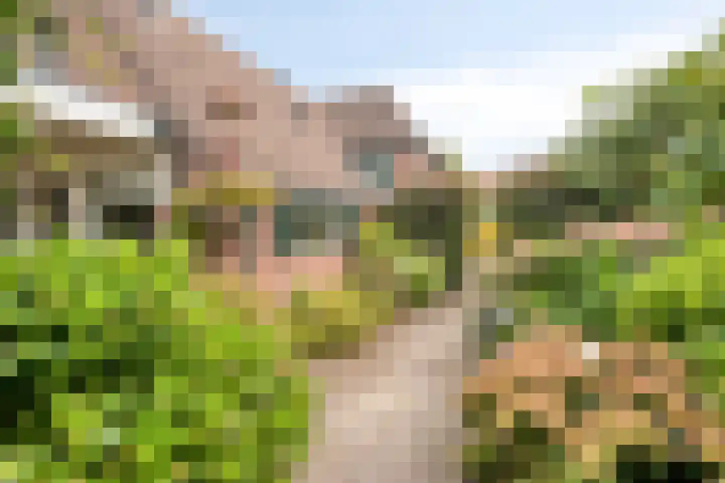 Hoofdstraat 16 Epe thumbnail 33