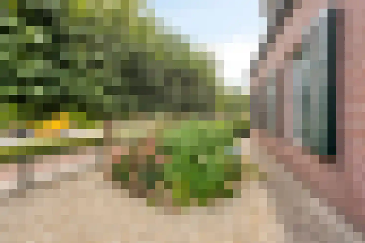 Hoofdstraat 16 Epe thumbnail 36