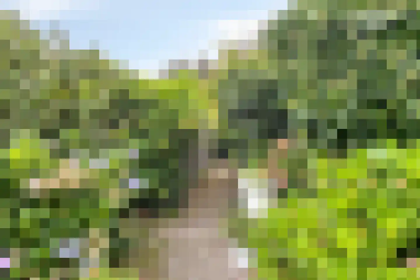Hoofdstraat 16 Epe thumbnail 41