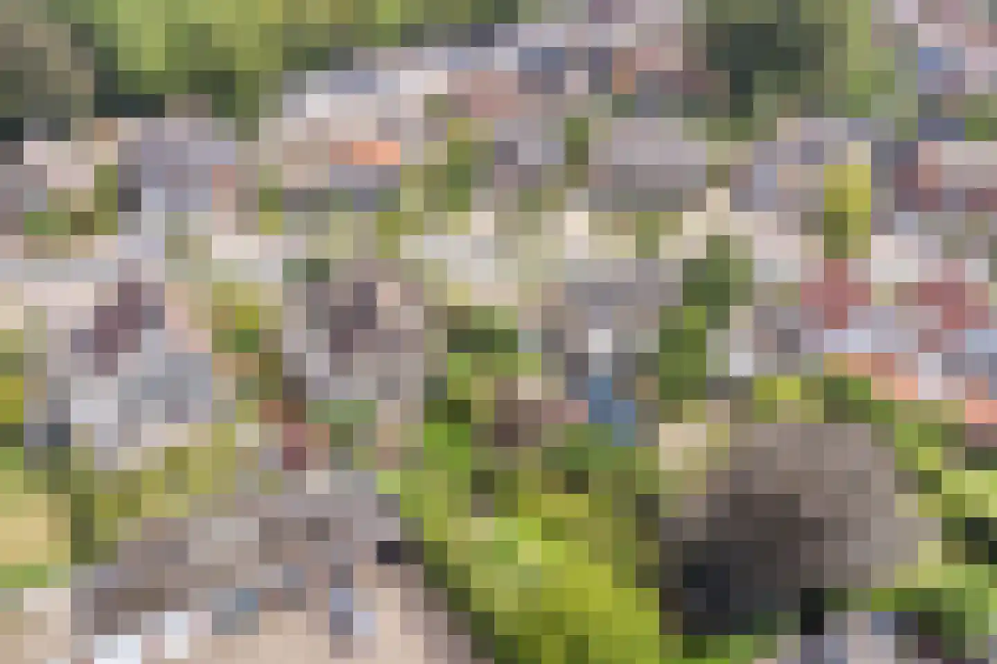 Hoofdstraat 16 Epe thumbnail 42