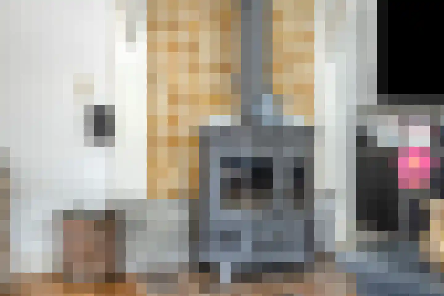 Hoofdstraat 16 Epe thumbnail 6
