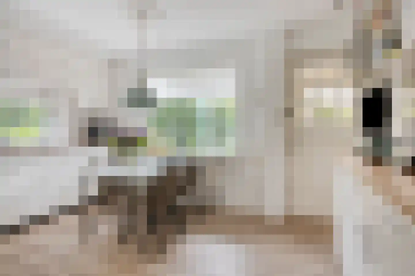 Hoofdstraat 16 Epe thumbnail 9