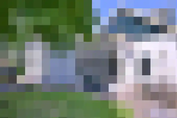 Hoofdstraat 16 Gorssel thumbnail 4