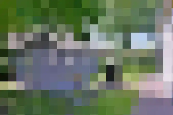 Hoofdstraat 16 Gorssel thumbnail 40