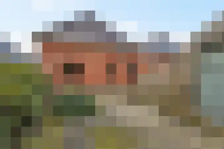 Hoofdstraat 16 Meedhuizen thumbnail 10