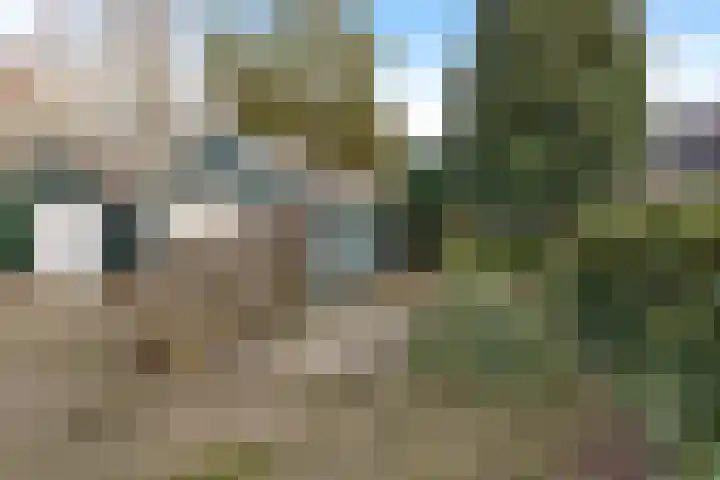 Hoofdstraat 16 Meedhuizen thumbnail 12