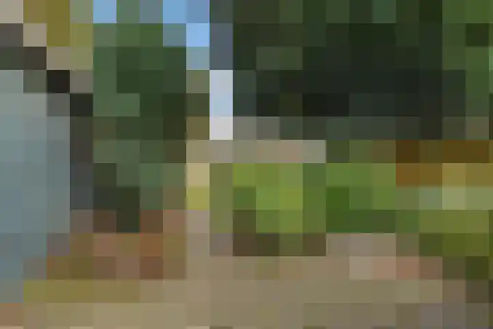 Hoofdstraat 16 Meedhuizen thumbnail 13