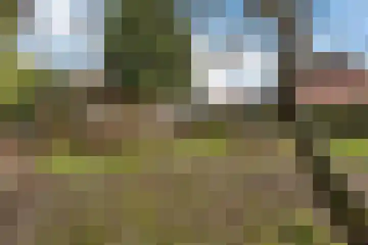 Hoofdstraat 16 Meedhuizen thumbnail 15