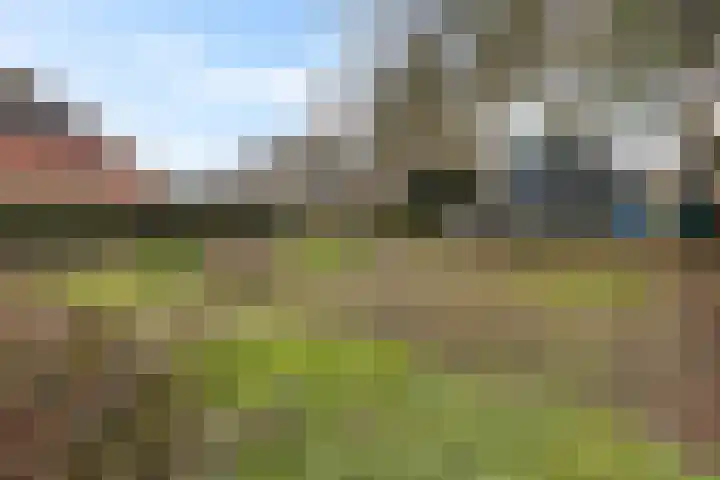 Hoofdstraat 16 Meedhuizen thumbnail 16