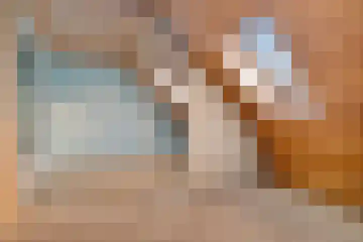 Hoofdstraat 16 Meedhuizen thumbnail 39