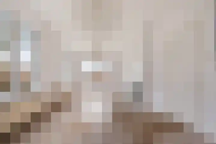 Hoofdstraat 16 Zweeloo thumbnail 15