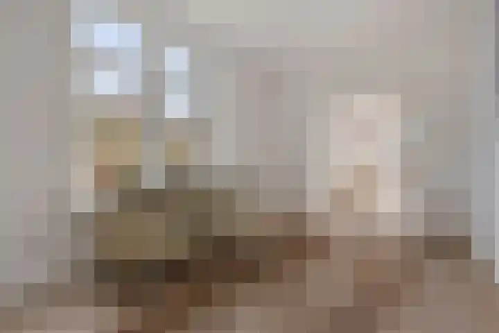 Hoofdstraat 16 Zweeloo thumbnail 19