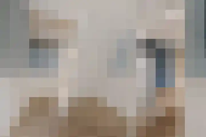 Hoofdstraat 16 Zweeloo thumbnail 20