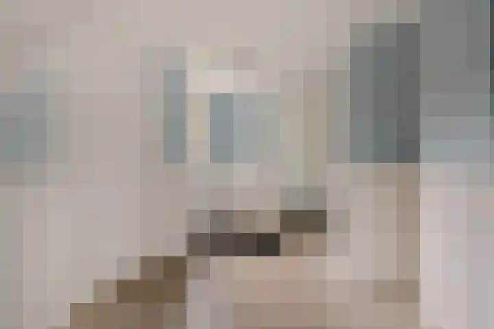 Hoofdstraat 16 Zweeloo thumbnail 21