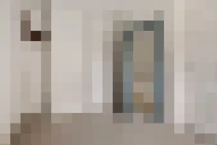 Hoofdstraat 16 Zweeloo thumbnail 23