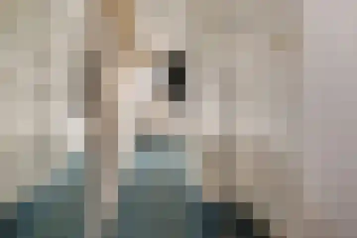Hoofdstraat 16 Zweeloo thumbnail 26