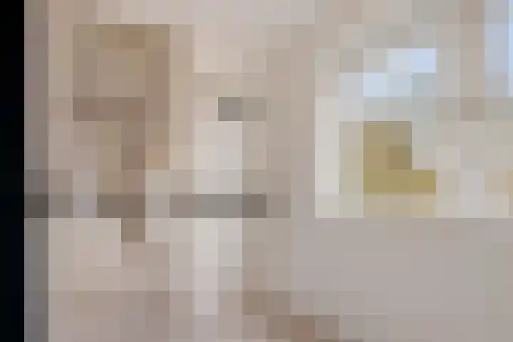 Hoofdstraat 16 Zweeloo thumbnail 31