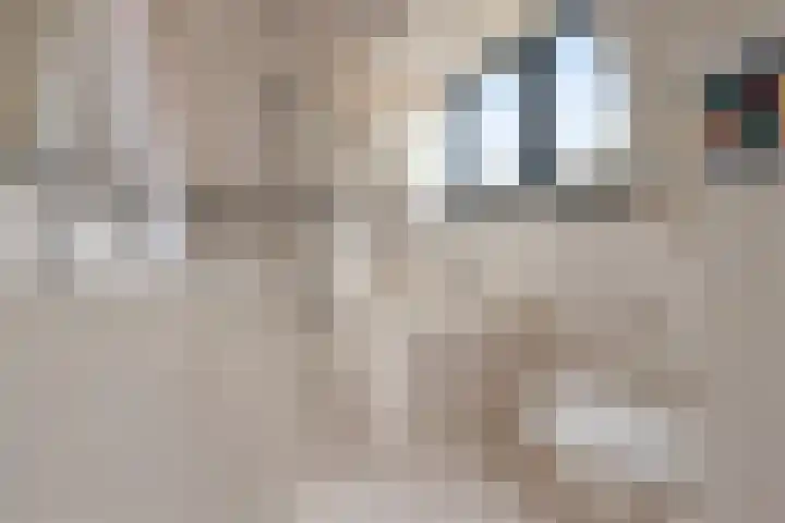 Hoofdstraat 16 Zweeloo thumbnail 32
