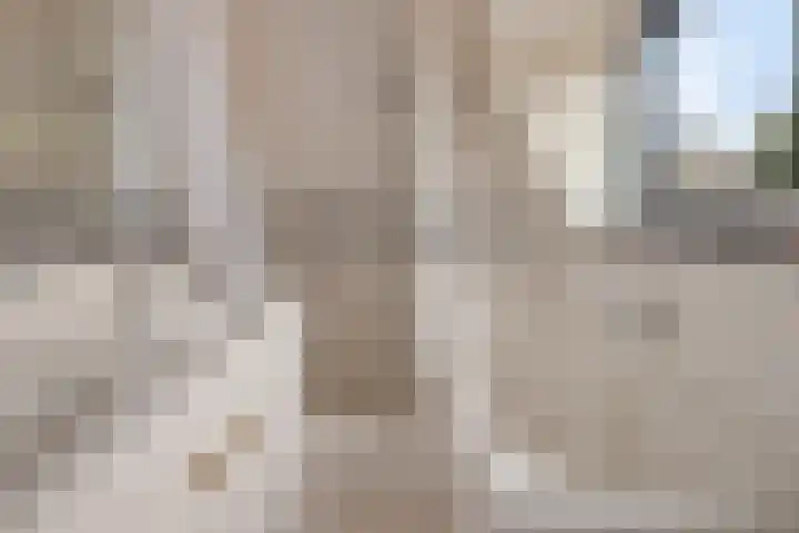Hoofdstraat 16 Zweeloo thumbnail 33