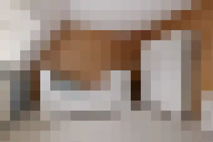 Hoofdstraat 16 Zweeloo thumbnail 36