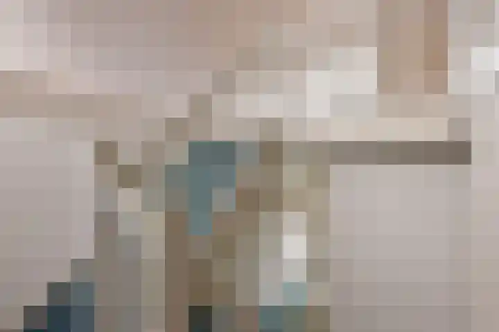 Hoofdstraat 16 Zweeloo thumbnail 40