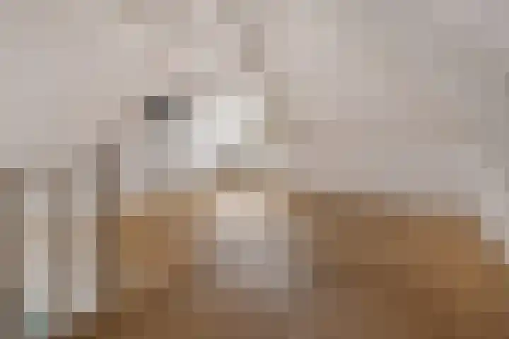 Hoofdstraat 16 Zweeloo thumbnail 42