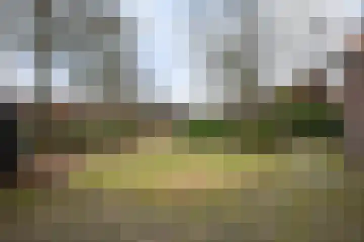 Hoofdstraat 16 Zweeloo thumbnail 44