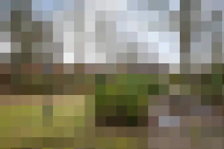 Hoofdstraat 16 Zweeloo thumbnail 45
