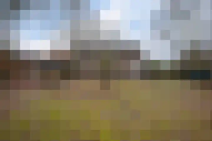 Hoofdstraat 16 Zweeloo thumbnail 46