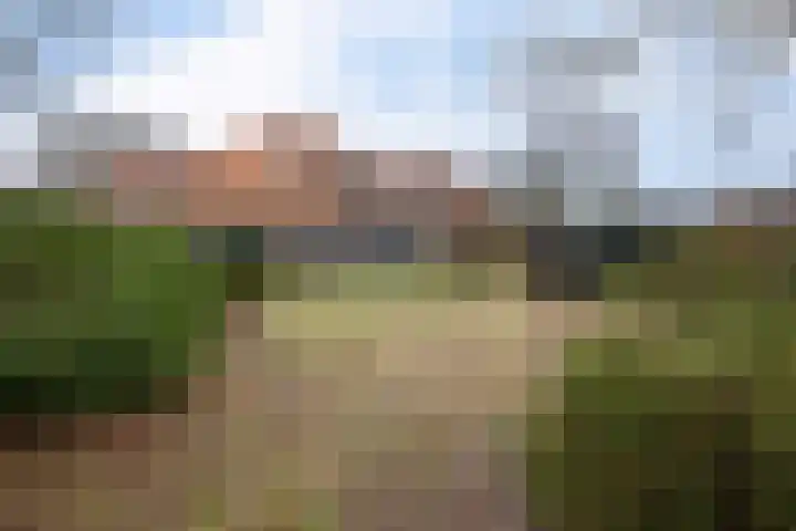 Hoofdstraat 16 Zweeloo thumbnail 49