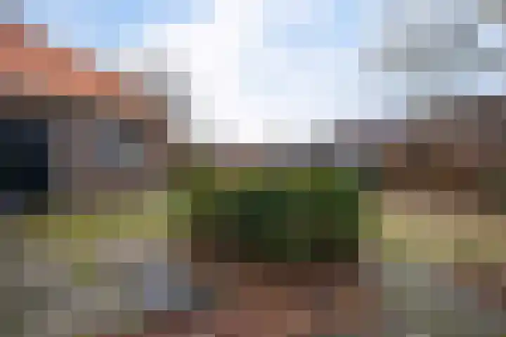Hoofdstraat 16 Zweeloo thumbnail 50