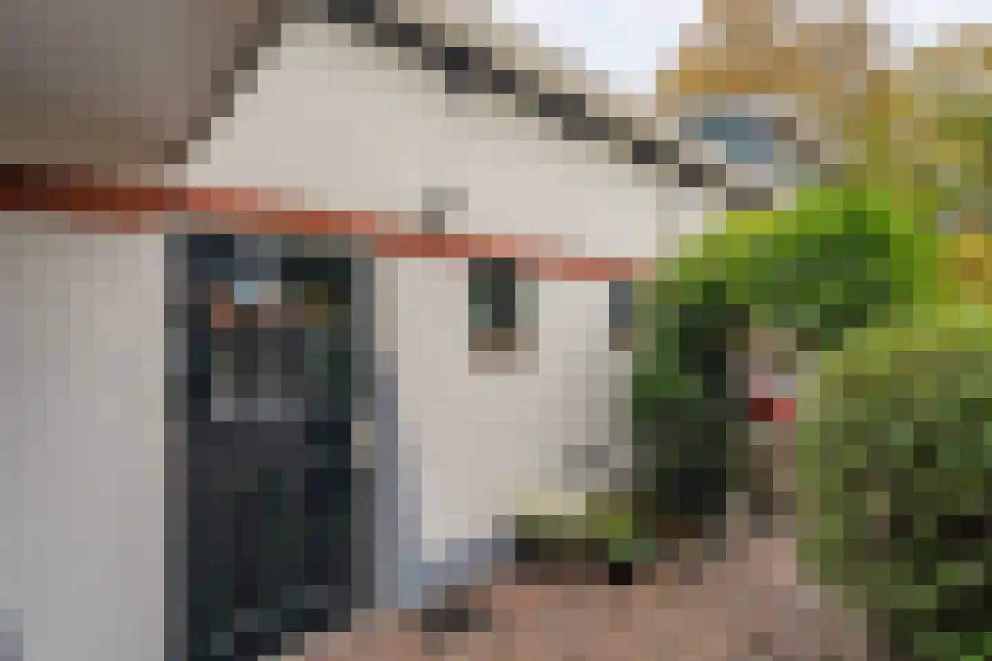 Hoofdstraat 160 Zuidwolde thumbnail 69