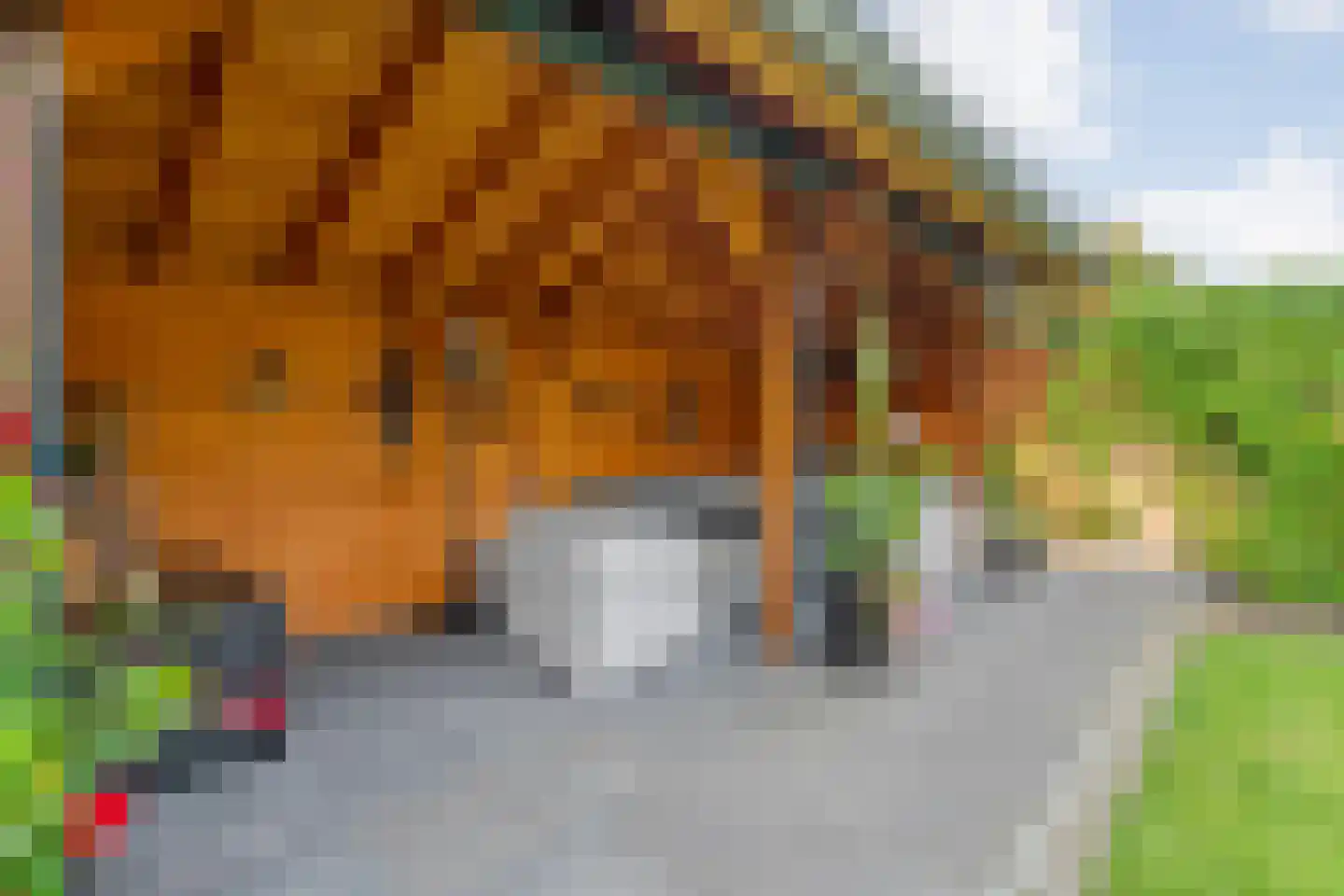 Hoofdstraat 160 Zuidwolde thumbnail 7