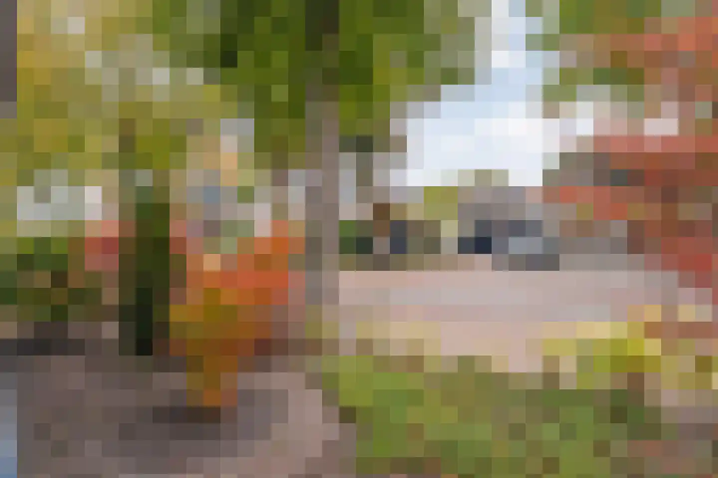 Hoofdstraat 160 Zuidwolde thumbnail 82