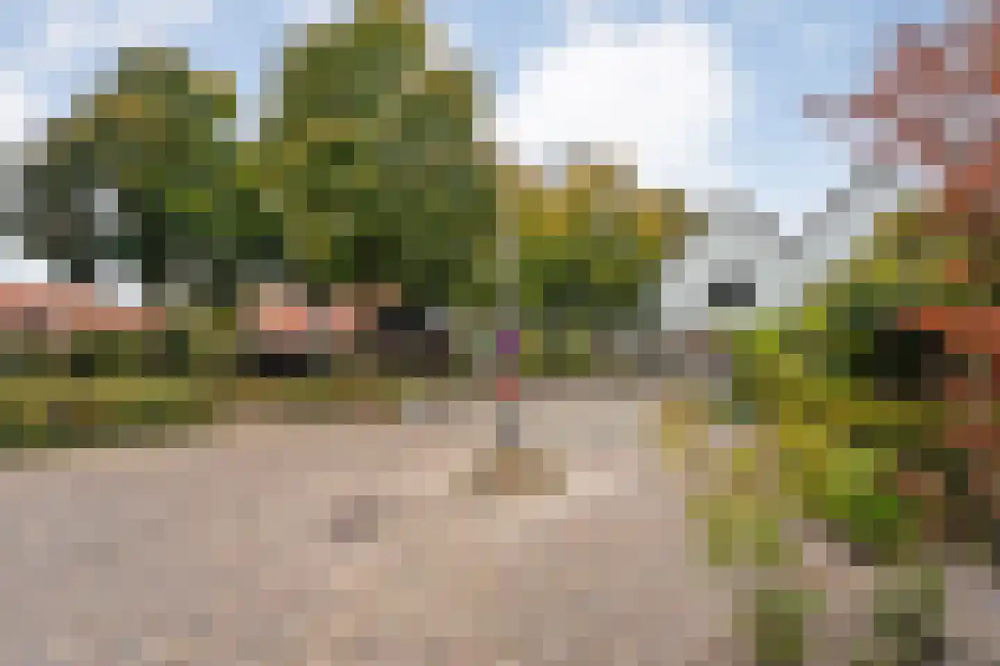 Hoofdstraat 160 Zuidwolde thumbnail 85