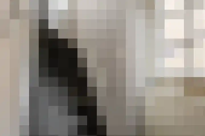 Hoofdstraat 165 A Voorthuizen thumbnail 6